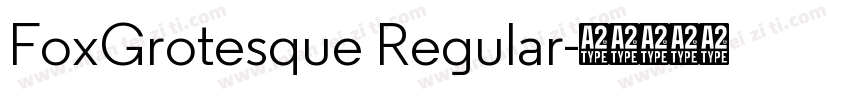 FoxGrotesque Regular字体转换